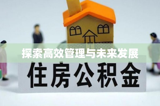 下城探索高效管理与未来发展