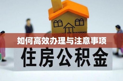 下城如何高效办理与注意事项