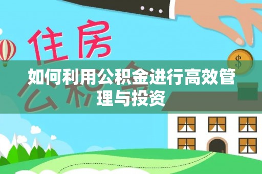 下城如何利用公积金进行高效管理与投资