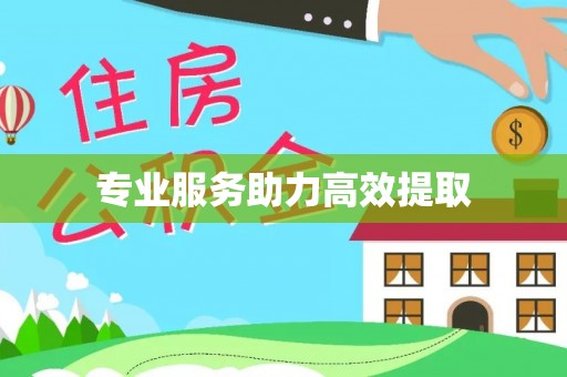 下城专业服务助力高效提取