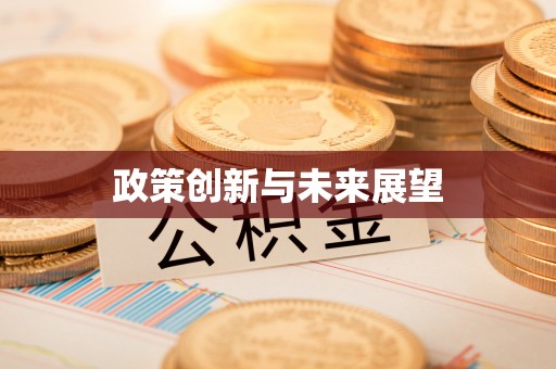 下城政策创新与未来展望