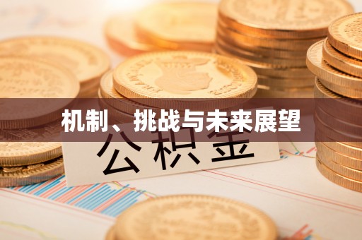 下城机制、挑战与未来展望